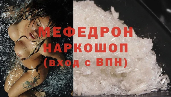 индика Богданович