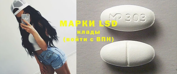 индика Богданович