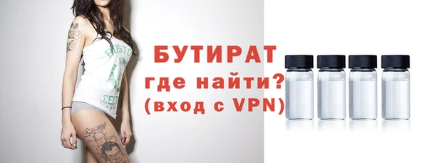 индика Богданович
